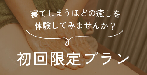 初回限定プラン